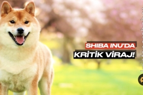 Shiba Inu 73 günlük modeli sonlandırıyor: İşte SHIB için beklenen senaryo!