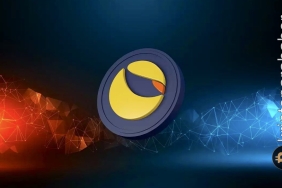 Terra kritik desteğe dayandı: Sıradaki hamlesi ne olacak? LUNA teknik analizi