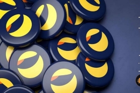 Ünlü aktivist ve yatırımcı Bill Ackman Terra’yı Ponzi Şeması”na benzetti!