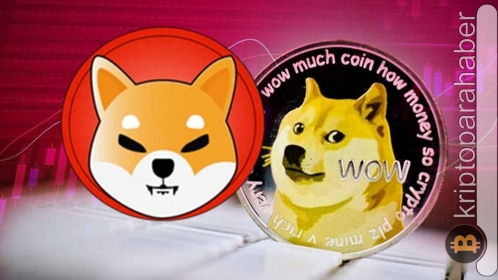 DOGE ve SHIB bir yükseliş için yeterli enerjiyi biriktirdi mi?