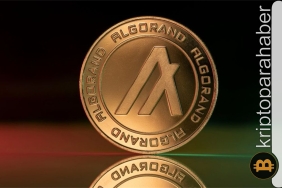 algorand fiyatı