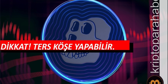 apecoin fiyatı