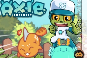 Axie Infinity oyunu