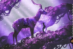 Balinalar BTC'yi borsalardan çekiyor! Fiyatları nasıl etkileyecek?