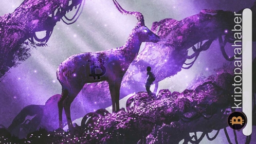 Balinalar Bitcoin’i borsalardan çekiyor! Fiyatı nasıl etkileyeceğini anlattık