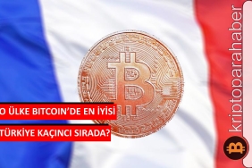 bitcoin profit investor