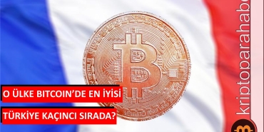 bitcoin profit investor