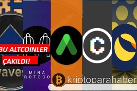 bu altcoinler çakıldı