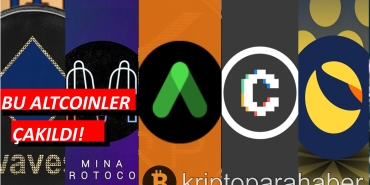 bu altcoinler çakıldı