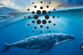Cardano balinalarıyla ilgili Nisan ayı verileri dikkat çekiyor! Ne anlama geliyor?