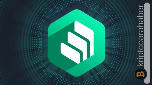 Bu altcoin 2 gün içersinde yüzde 28’den fazla arttı! İşte nedeni