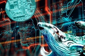 Balinalar, kripto piyasasındaki çöküşün ortasında metaverse coinleri ekliyor! İşte nedeni