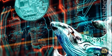 Balinalar, kripto piyasasındaki çöküşün ortasında metaverse coinleri ekliyor! İşte nedeni