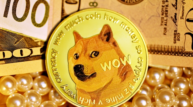 DOGE meme coin