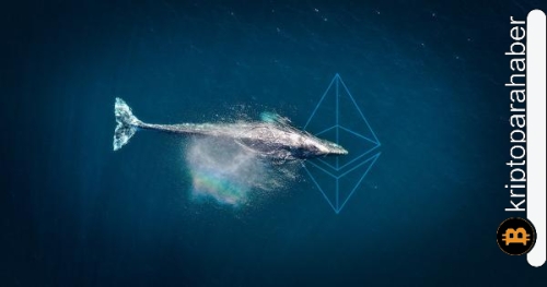 ETH balinalarının gözdesi olan meme coin, en çok kullanılan akıllı sözleşme haline geldi!