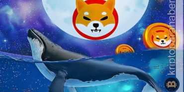 Son günlerin en büyük transferi! Devasa miktarda SHIB taşındı! Neler oluyor?