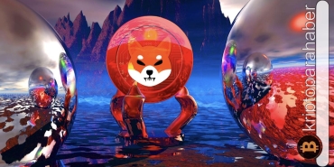  Ethereum balinaları Dogecoin rakibi Shiba Inu üzerine atıldı!