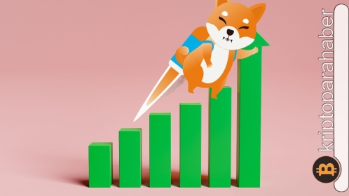 Shiba son durum: Robinhood listelemesi sonrasında günün en iyilerinden olmaya devam etti!