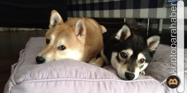 Dogecoin ve Shiba Inu’da sert direnç! Teknik analiz