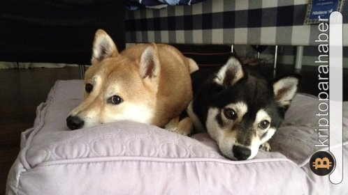 Dogecoin ve Shiba Inu’da sert direnç! Meme coinlerde şimdi bunlar bekleniyor… Teknik analiz