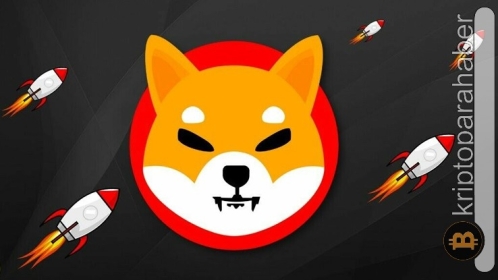 Shiba Inu fiyatında kırılma bekleniyor! Yukarı mı, aşağı mı?