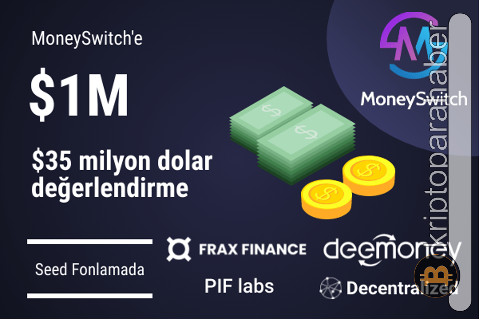 Uluslararası para gönderme platformu MoneySwitch’e 1 milyon dolar yatırım!