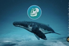 Bu token ETH balinalarının yeni gözdesi oldu! Fiyata ne zaman yansıyacak?