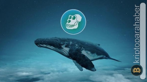 Bu token ETH balinalarının yeni gözdesi oldu! Fiyata ne zaman yansıyacak?