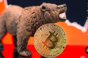 Yatırımcılar dikkat: Ayı piyasasından zarar görmeden çıkmak için 4 ipucu!