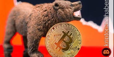 Yatırımcılar dikkat: Ayı piyasasından zarar görmeden çıkmak için 4 ipucu!