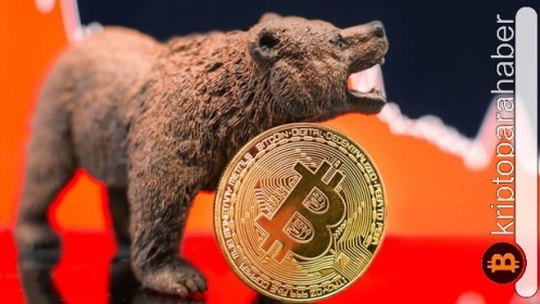 Yatırımcılar dikkat: Ayı piyasasından zarar görmeden çıkmak için 4 ipucu!