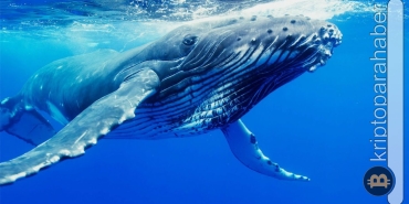 Balinalar bu altcoin'den alım yapmaya devam ediyor!