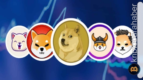 Bu hafta sürpriz yapması beklenen 5 meme coin…