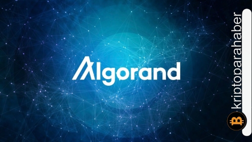 ALGO fiyatında beklenen kırılma gerçekleşti! Boğalar savaşı bırakmamalı