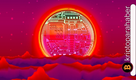 Piyasa düştü, gözde altcoin’ler yeni rekor kayıplar kaydetti! Yatırımcılar ne yapmalı?