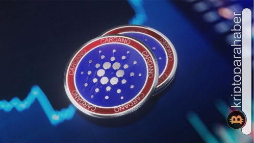 Düşüşte yüksek ilgi gören altcoin önemli bir eşiği aştı: Umut veriyor