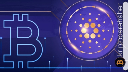 Cardano’ya Bitcoin modeli mi geliyor? ADA coin kısıtlı arz olma yolunda…