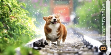 Dogecoin'de iki kritik seviye var: Alalım mı, satalım mı? İşte yanıtı!