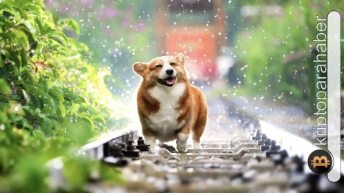 Dogecoin’de iki kritik seviye var: Alalım mı, satalım mı? İşte yanıtı!