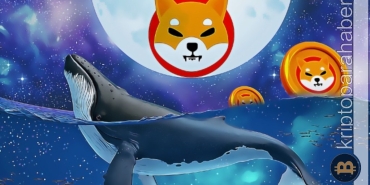 Ethereum balinaları düşüşe rağmen bu meme coin'den vazgeçmiyor!