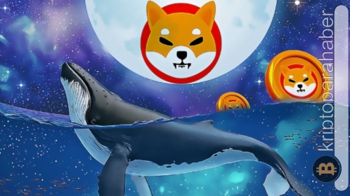 Ethereum balinaları düşüşe rağmen bu meme coin’den vazgeçmiyor!