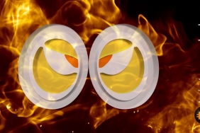 Sıcak Haber: Binance, Terra Classic ile ilgili yakımları artacak mı?