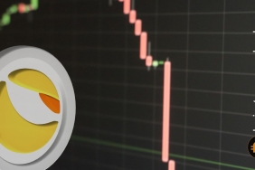 Bu rapor çok konuşulur: Luna Terra balinaları çöküş sırasında satış mı yaptı?