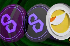 Polygon ekibinden önemli yardım: Kardeşi LUNA'yı yanlız bırakmak istemiyor!