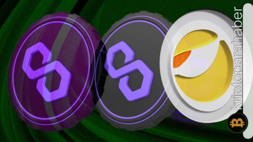 Polygon ekibinden önemli yardım: Kardeşi LUNA’yı yanlız bırakmak istemiyor!