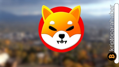 SHIB yakım işlemleri yüzde 800 artarak yeni bir rekor kırdı! Satın alma zamanı mı?