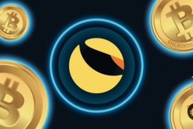 Flaş gelişme: Luna Vakfı, geçen hafta yaşanılan başarısızlık silsilesi hakkında bilançoyu açıkladı! BTC detayı içler acısı…