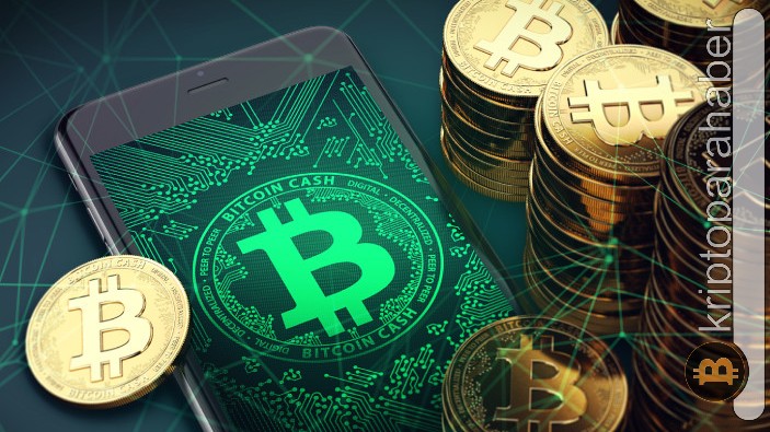 Bitcoin Cash temel destek seviyesini koruyabilecek mi?