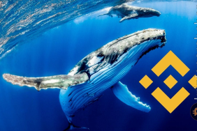 BNB balinasından dev hareket! Meme coin en çok tercih edilen varlık oldu!