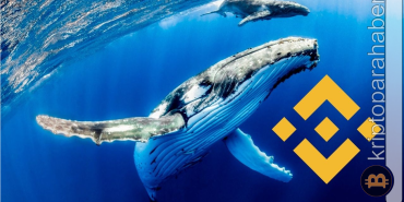 BNB balinasından dev hareket! Meme coin en çok tercih edilen varlık oldu!